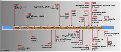 timeline 1800 to present