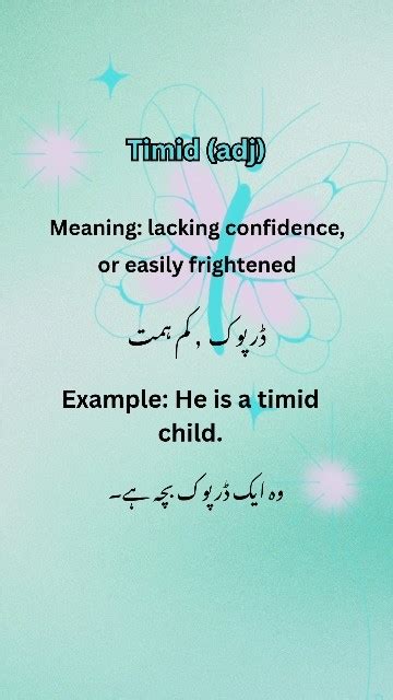 timid meaning in urdu with example
