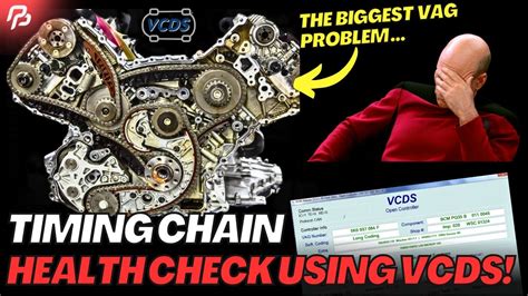 Timing Chain Check Vcds