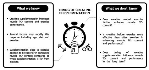 Timing Of Creatine Supplementation