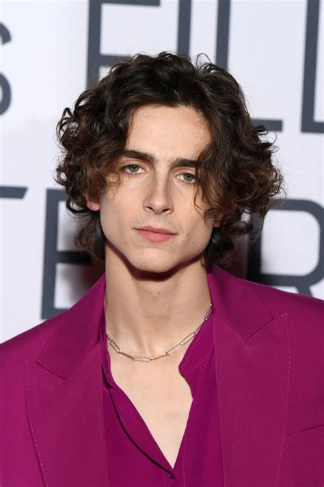 60 Cool Timothee Chalamet Haircut The King Haircut Trends