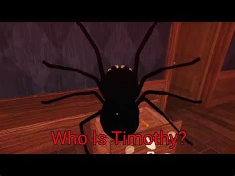 timothy - Roblox