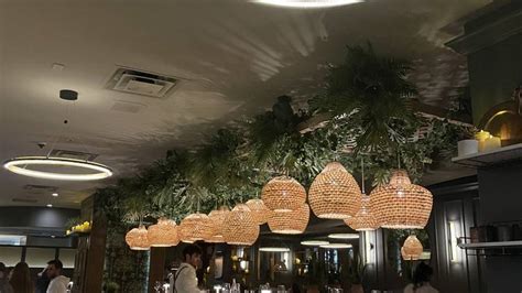 Master Your Rhythms: Exploring Timpano Magic in Hyde Park