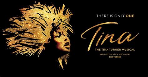 tina turner musical website official