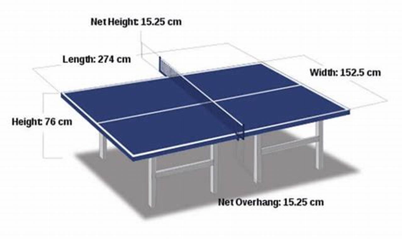 Panduan Lengkap: Tinggi Net Tenis Meja dan Ukurannya