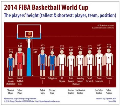 Tinggi Pemain Bola Basket
