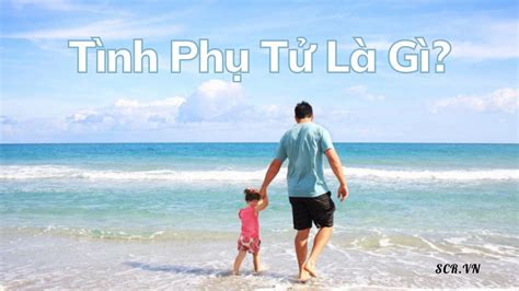 tinh phu tu la gi