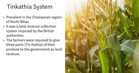 tinkathia system meaning in tamil with example