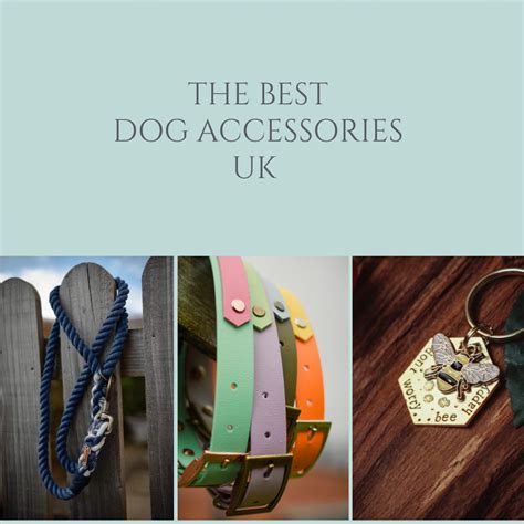 Tiny Dog Accessories Uk