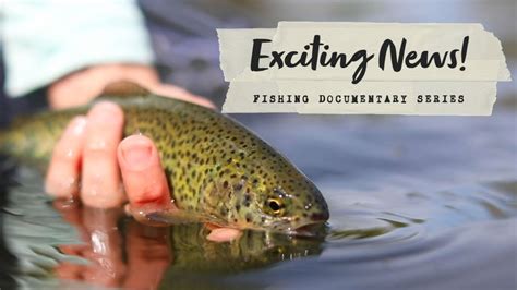 Tiny Fishing Watchdocumentaries