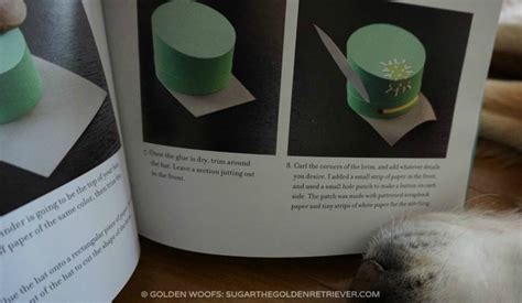 Tiny Hats For Cats Book