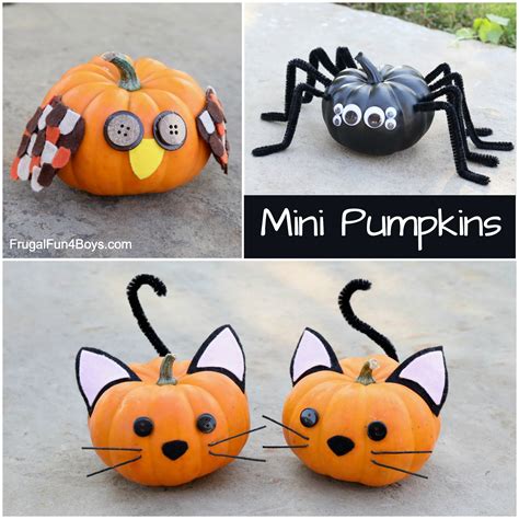 tiny pumpkins for crafts