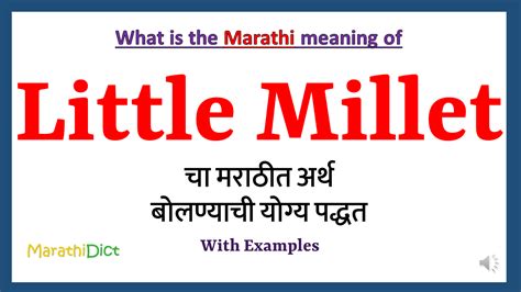 tiny tiny meaning in marathi