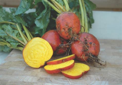 Tip for selecting yellow beetroot