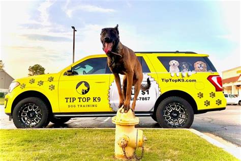 Tip Top K9 Prices