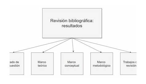 Revision bibliografica