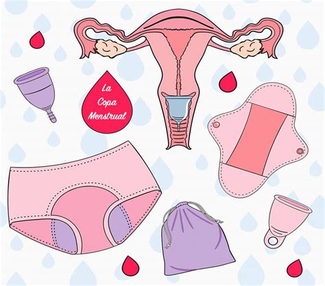 tipos de copas menstruales