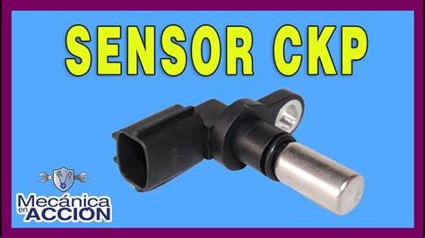 tipos de sensor ckp
