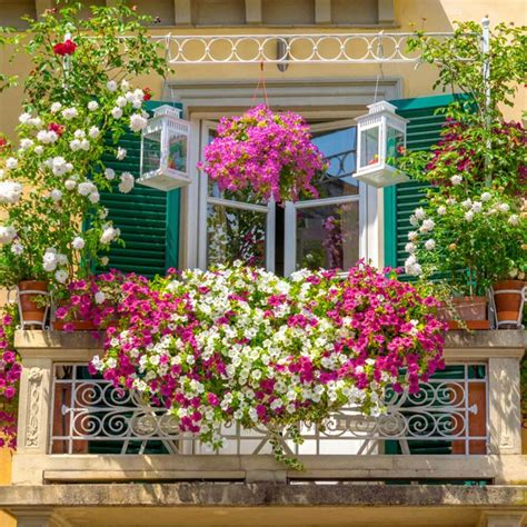 50 Best Balcony Garden Ideas and Designs for 2022