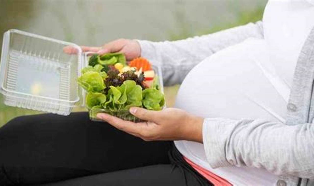 tips hamil sehat sampai melahirkan