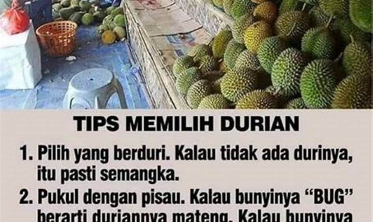 Awas Ngiler! Rahasia Tips Memilih Durian Lucu Terungkap!