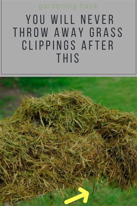 The Best Way to Recycle Grass Clippings Discount EcoFriendly Grass