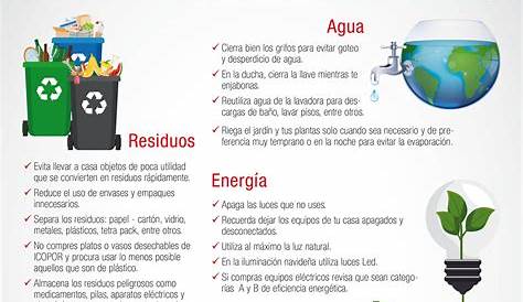 Collection of Consejos Para Cuidar El Medio Ambiente Desde La Casa