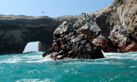 tips Ballestas Islands trip