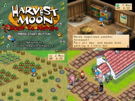 Tips Dan Trik Harvest Moon Back To Nature IvanNata Tips & Trik Bermain Harvest moon 3 Save