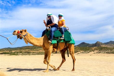 tips for camel ride cabo