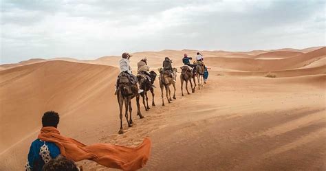 tips for desert tours