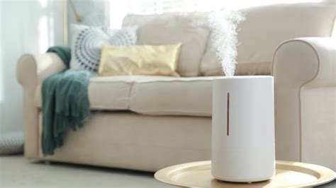 Tips For Finding The Perfect Place For Your Humidifier