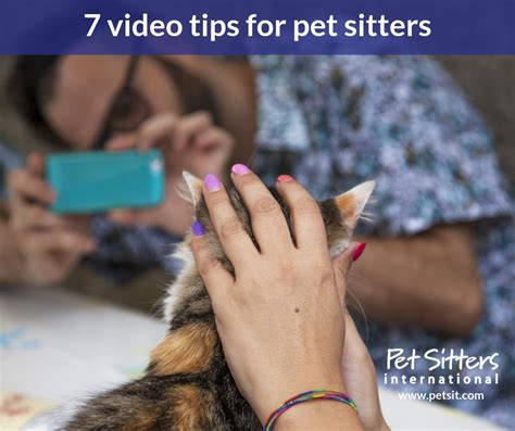 Tips For Pet Sitters