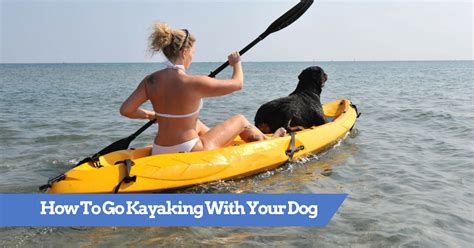 Tips For Taking Your Dog Kayaking