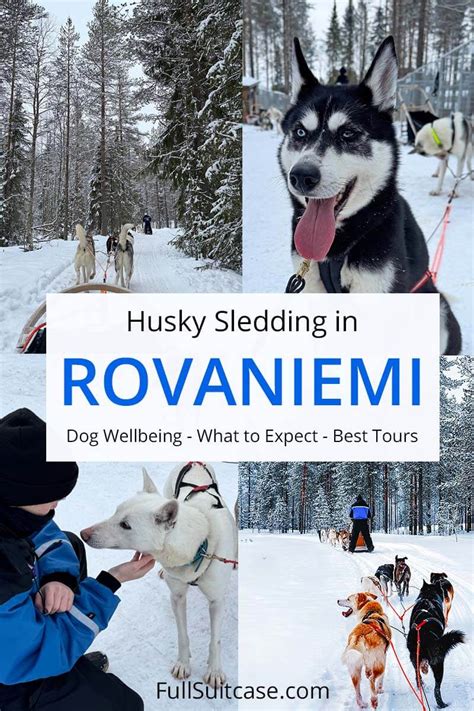tips husky sledding