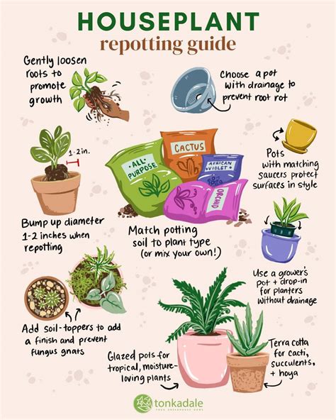 Tips On Potting Plants