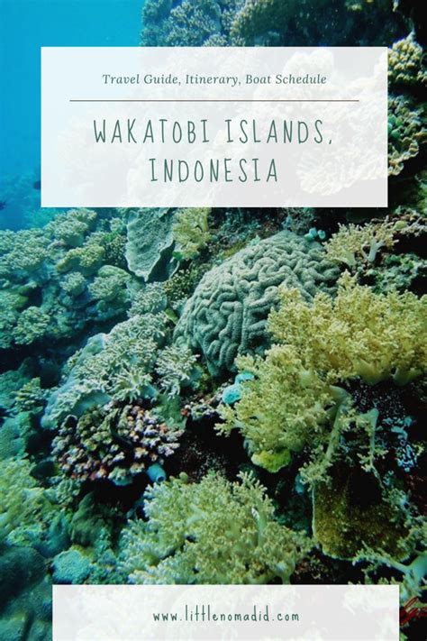 Tips Perjalanan Wakatobi