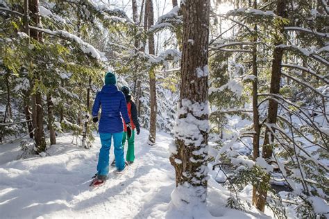 tips snowshoeing