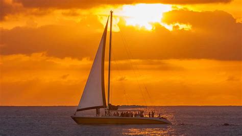 tips sunset cruise
