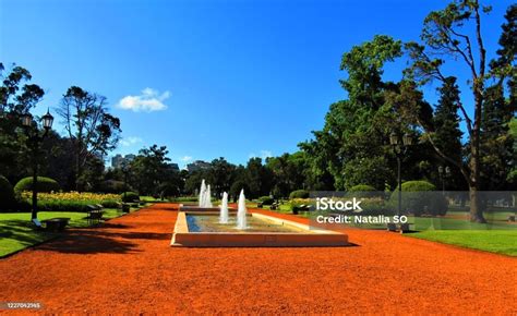 tips visit palermo woods