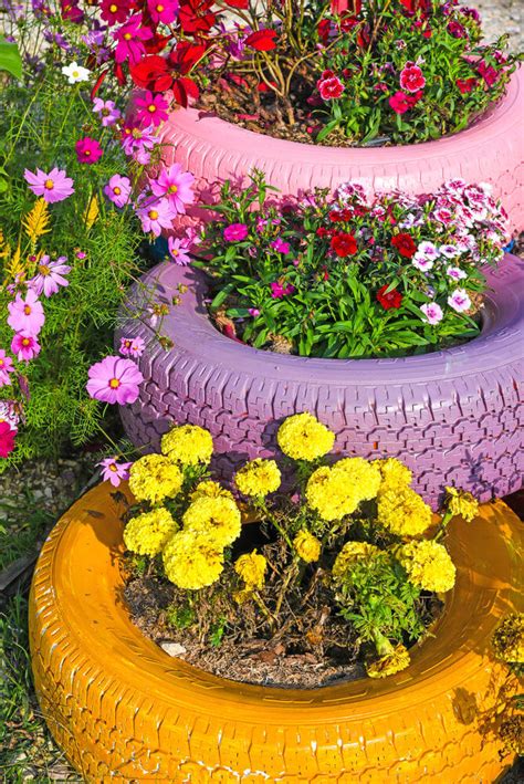 29 Flower Tire Planter Ideas for Your Yard (and Home)