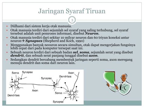 tiruan in english