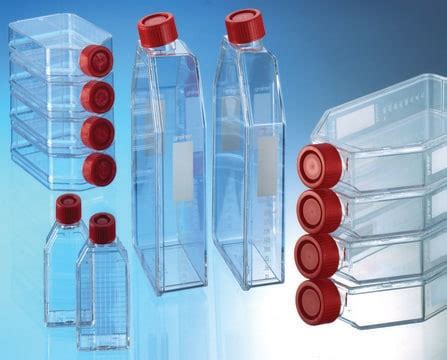 Tissue Culture Flasks Surface Area