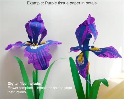 Tissue Paper Iris