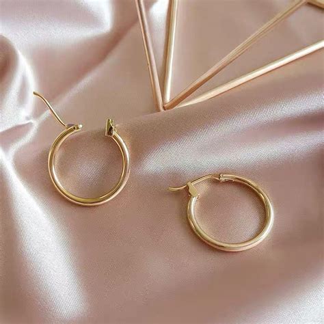 Titanium Gold Earrings