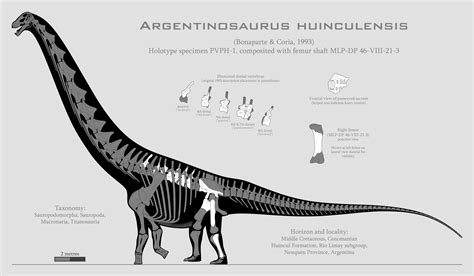 titanosaur argentinosaurus huinculensis