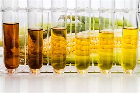 Titration Biodiesel