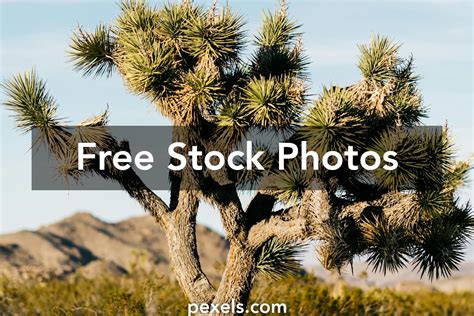 titty lesbians 2 big