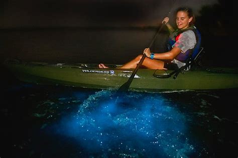 Clear Kayak Florida Bioluminescence Tour Beacon 42 (Titusville)