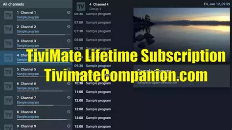 tivimate companion lifetime subscription